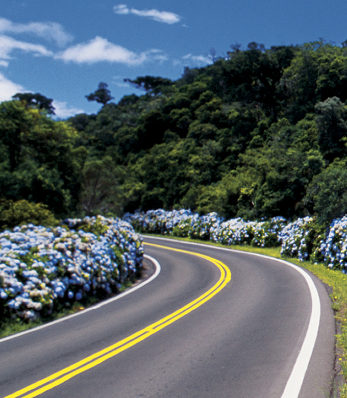 Paisagem da Serra Gaúcha no caminho para Gramado