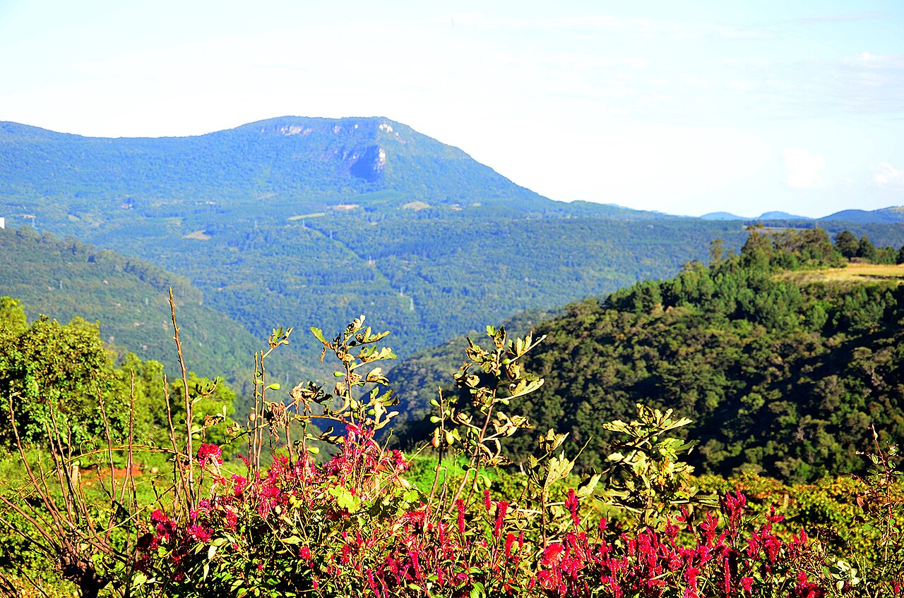 Vale da Serra Gaúcha visto de um mirante
